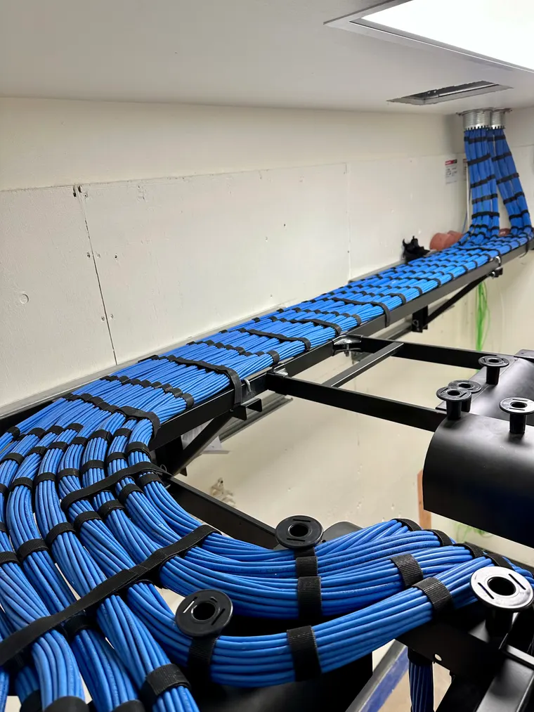 Neatly organized blue Cat6 network cabling in a cable tray