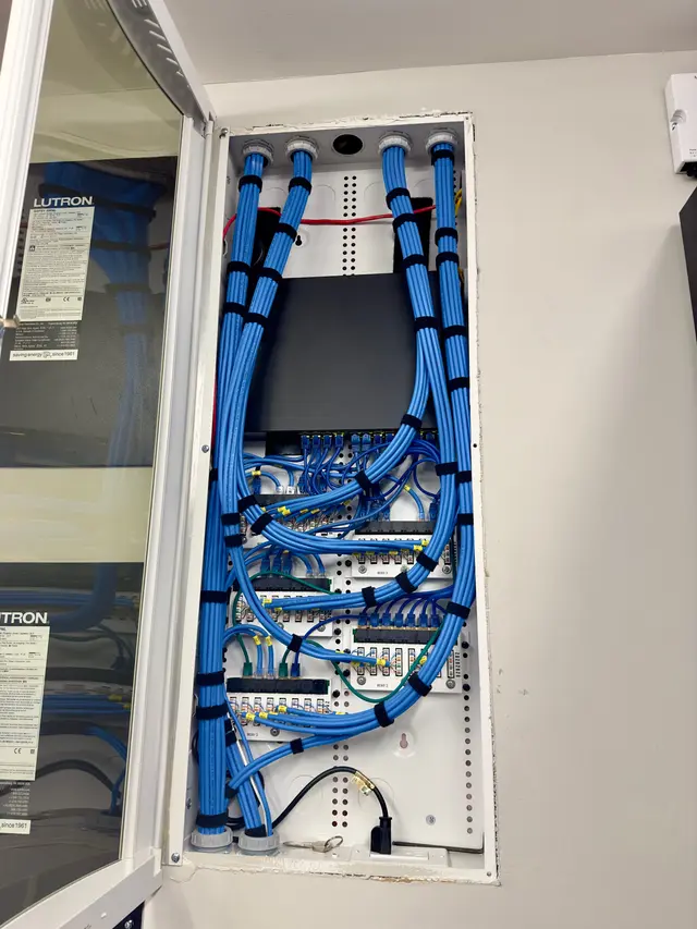 Switch stack with dressed blue cabling in an equipment rack